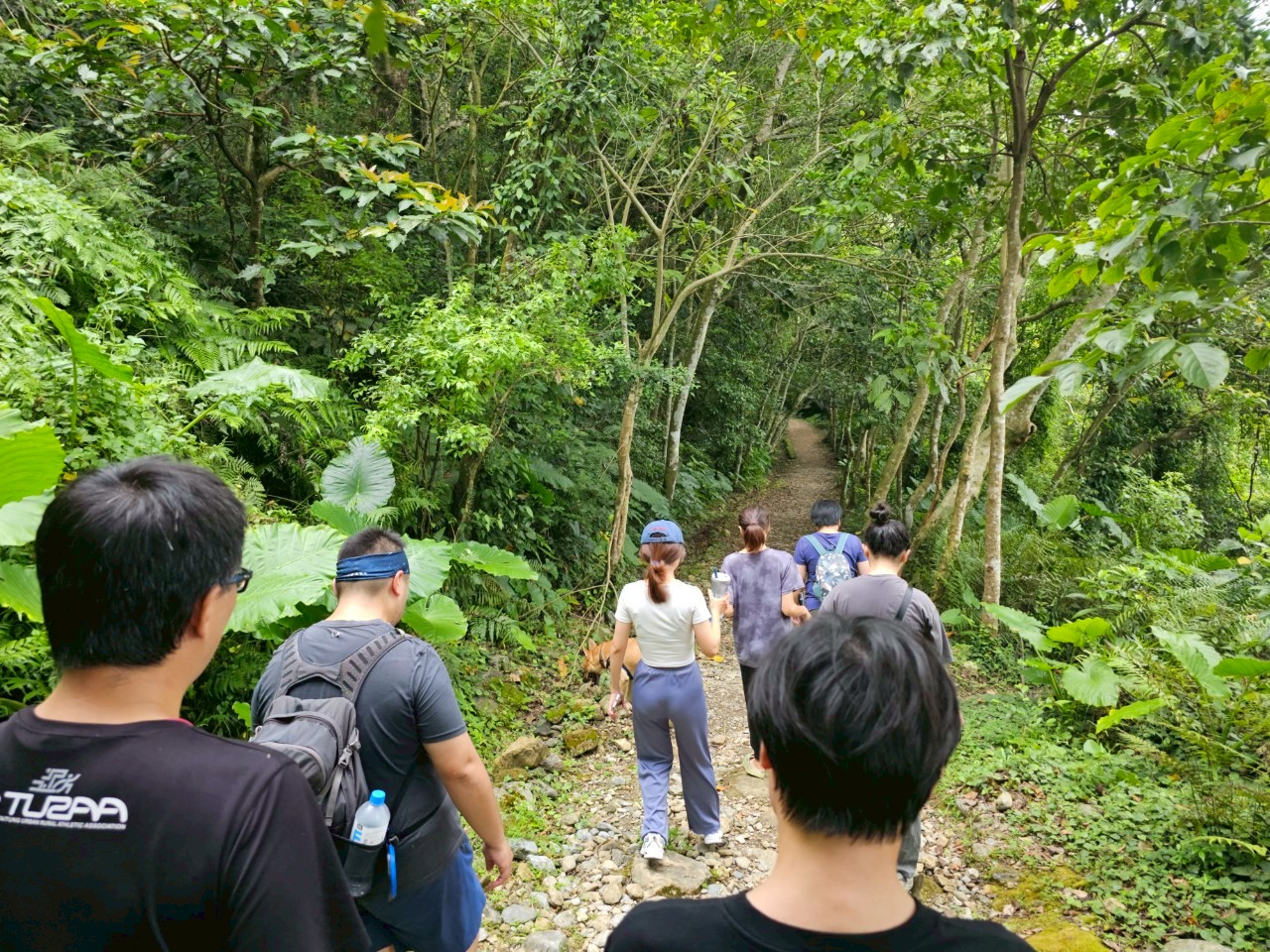 走進森林體驗自然療育