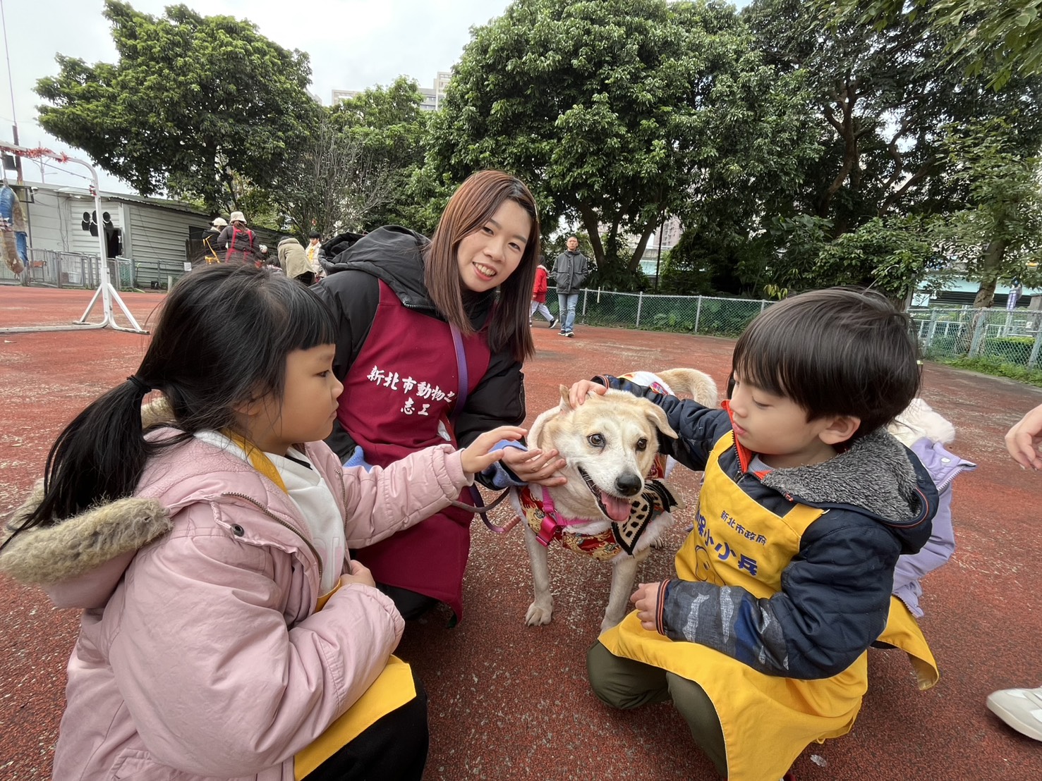 新北動保小小兵出動！兒童節推生命教育 讓愛從學習開始