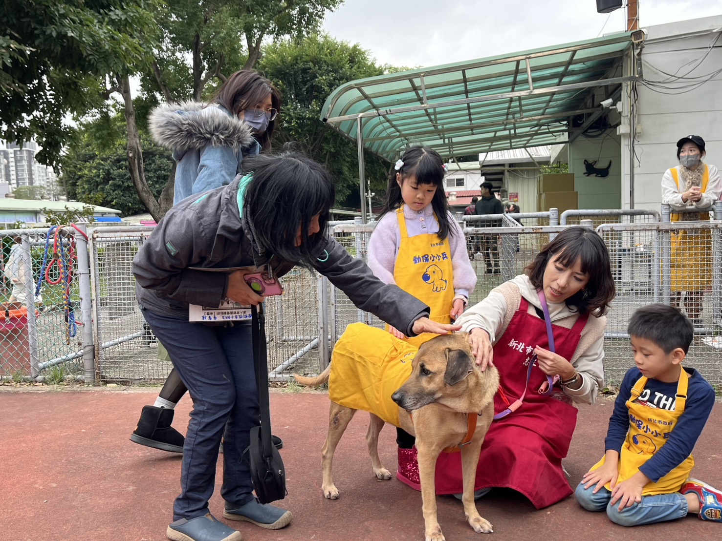 志工協助親子與狗老師互動。