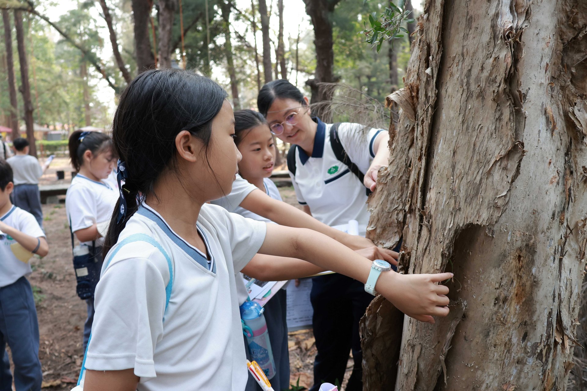 臺南慈中國小部戶外教育 走出人文素養力