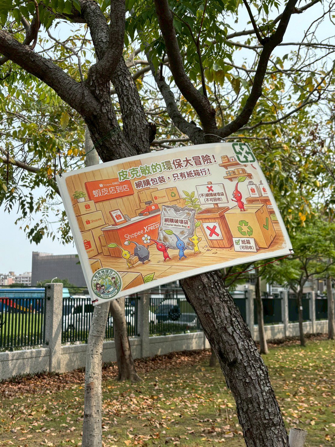 高三學生們精選校園生態豐富的位置懸掛環保知識看板。