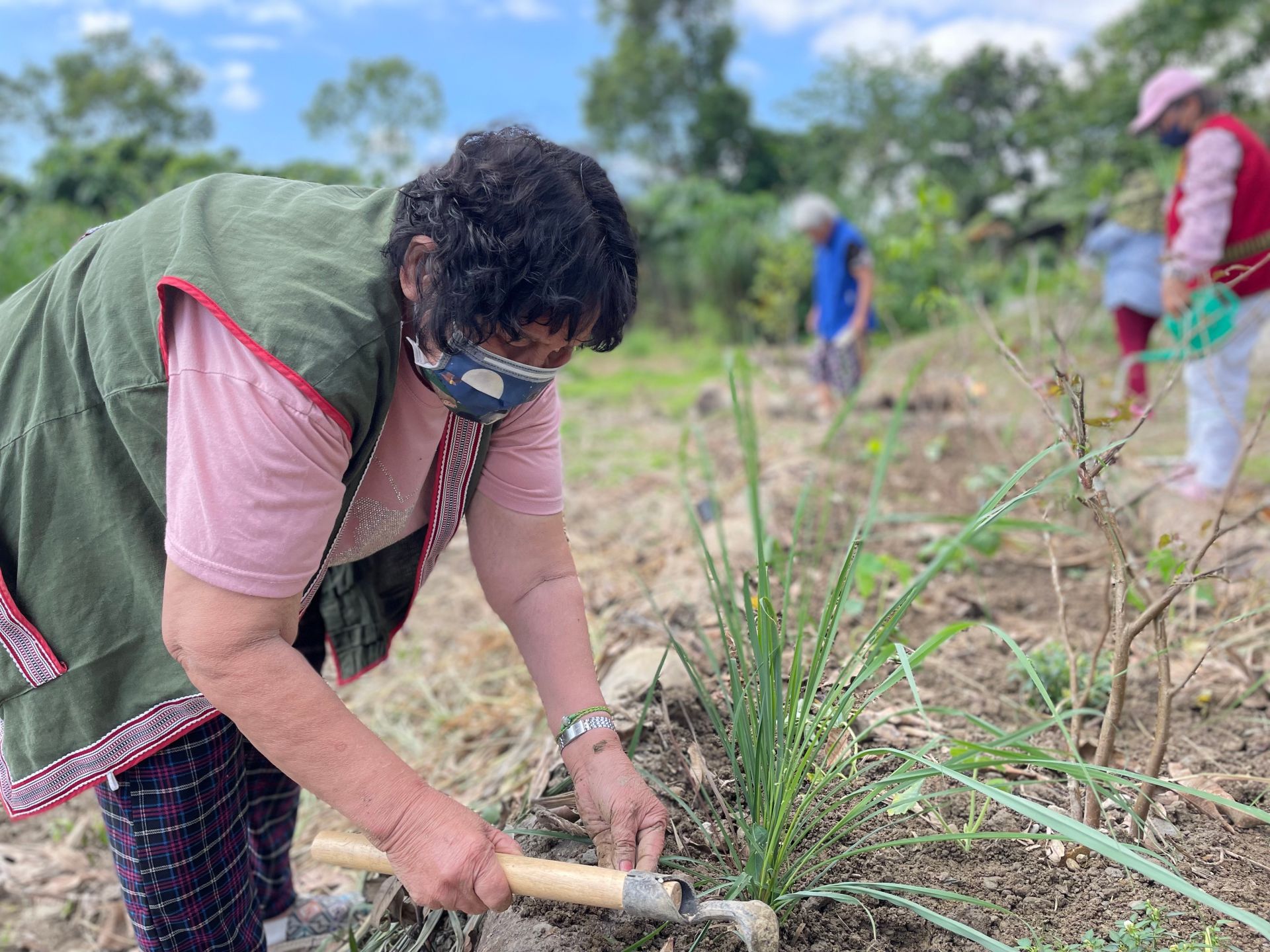 加灣文見站長者共同建置食物森林共作農園