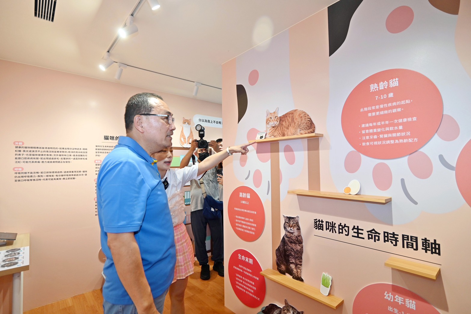 市府特別於「幸福喵樂宅」中設置「貓寶貝照護教育區」及「貓友善空間示範區」,開放有意認養的民眾與貓咪近距離接觸。