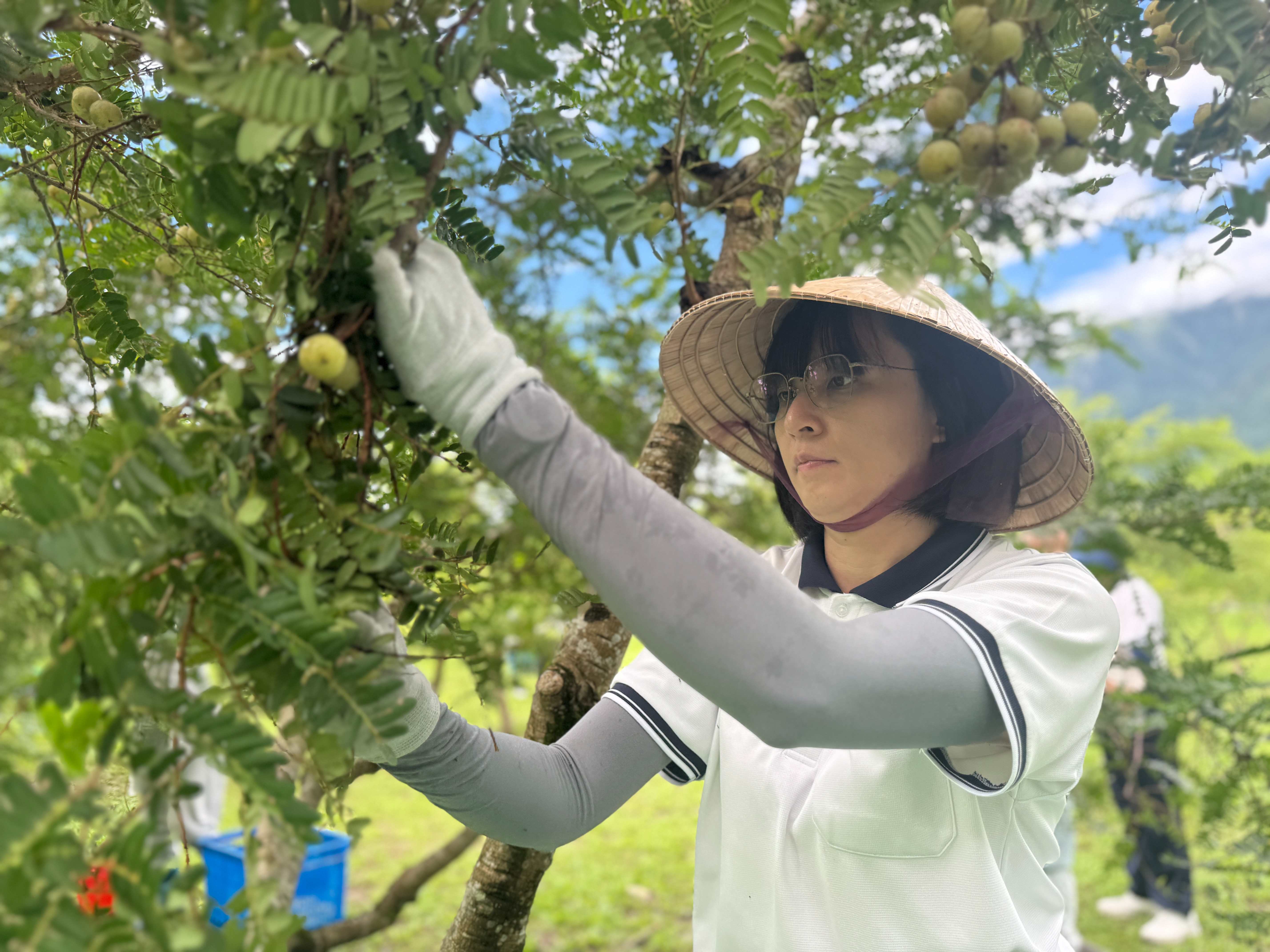 走進自力耕生園區，參與農事與手作