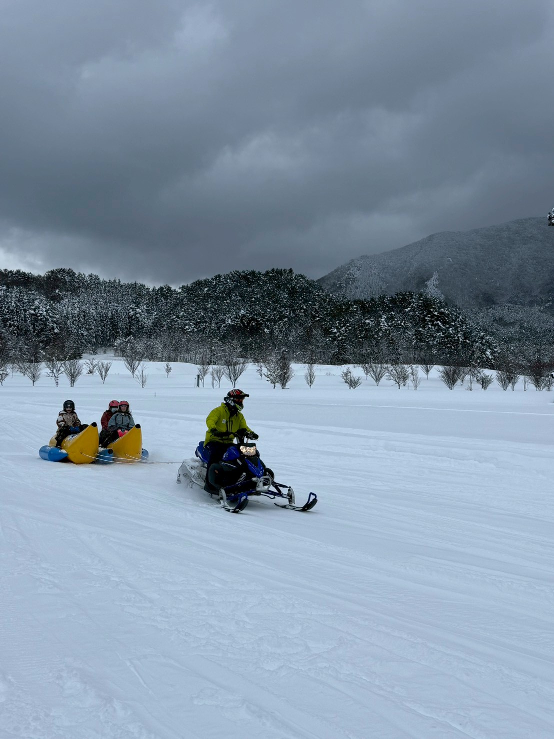 青森縣運動公園進行雪上活動，盡情享受玩雪的樂趣。