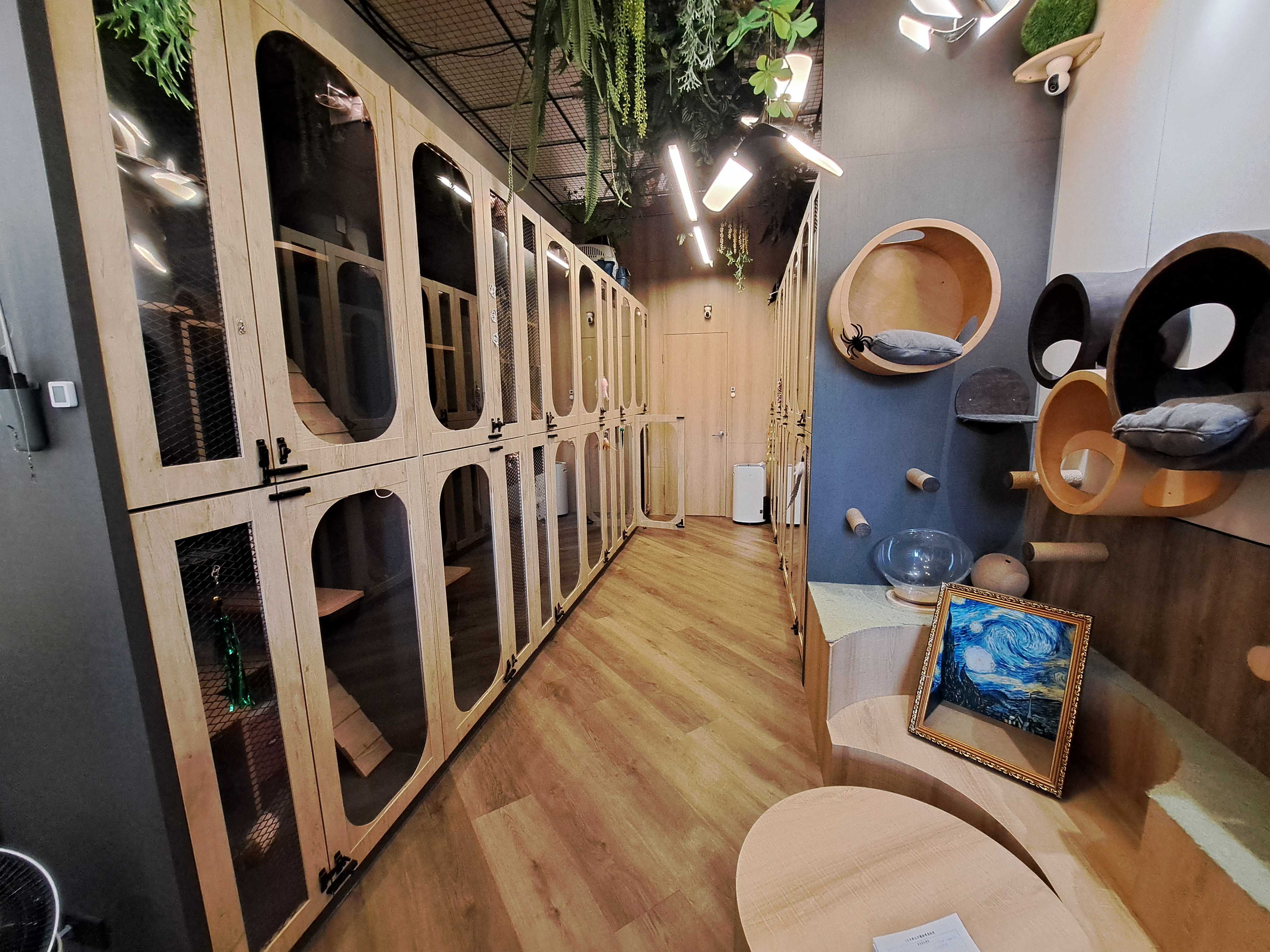 乾淨良好的飼養空間。