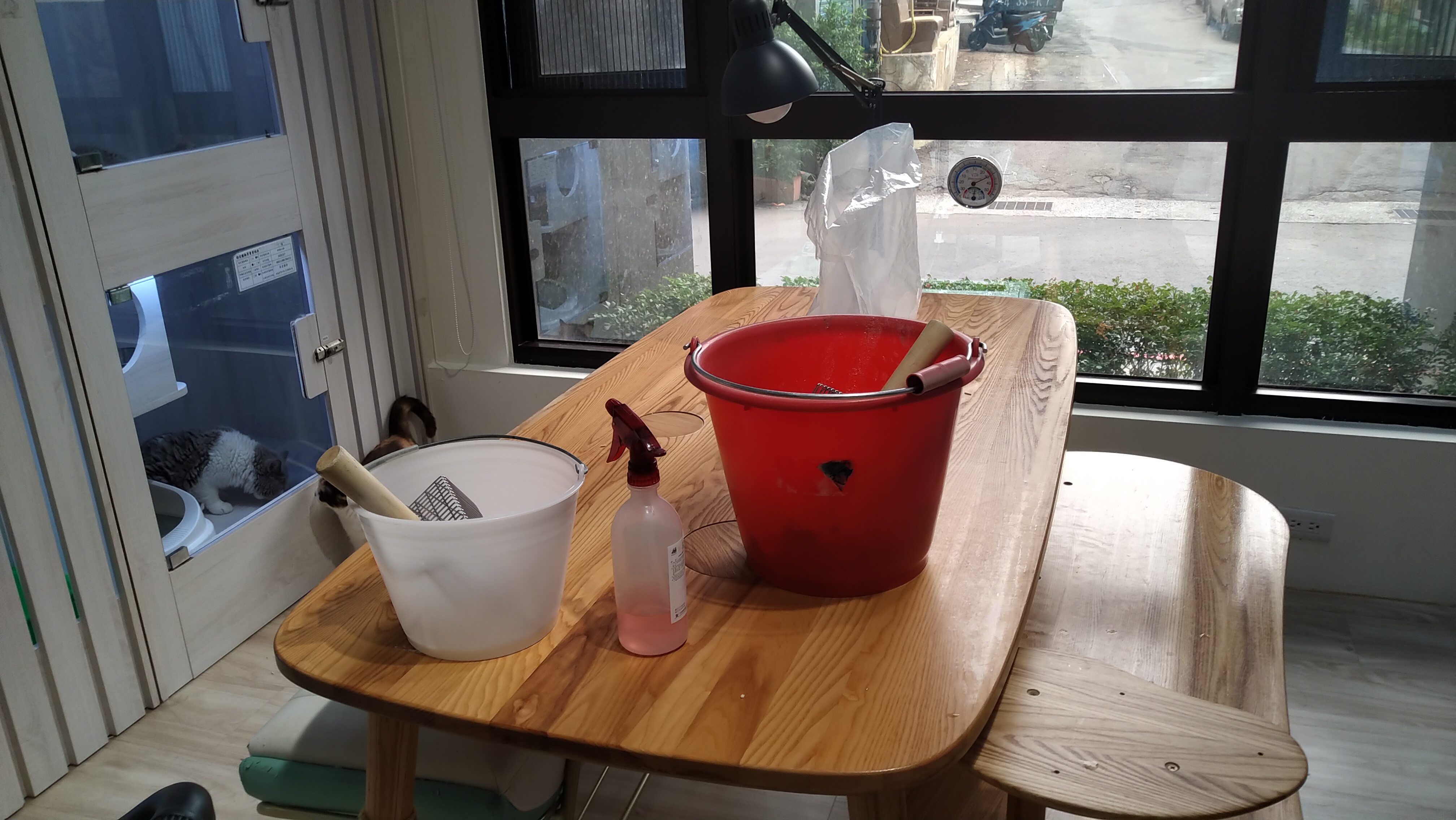 每日定期的消毒與清潔。