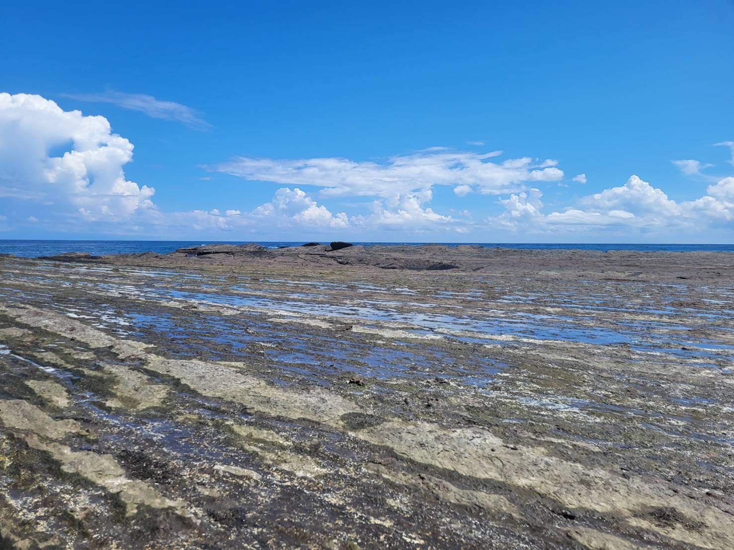 馬祥厚運走春趣 精選新北東北角馬崗輕旅行
