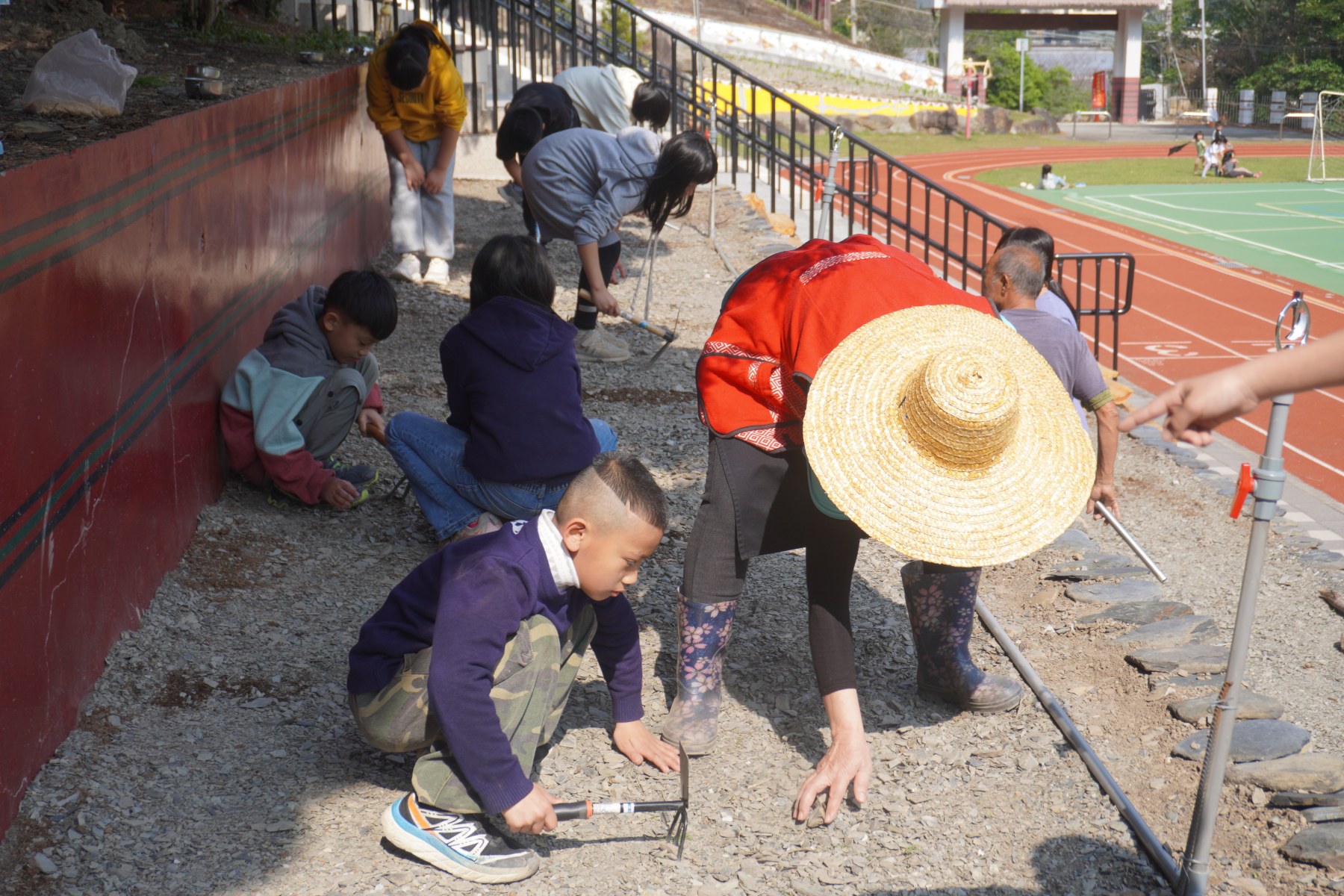 南豐國小師長帶著學生耕種小米,認識小米文化