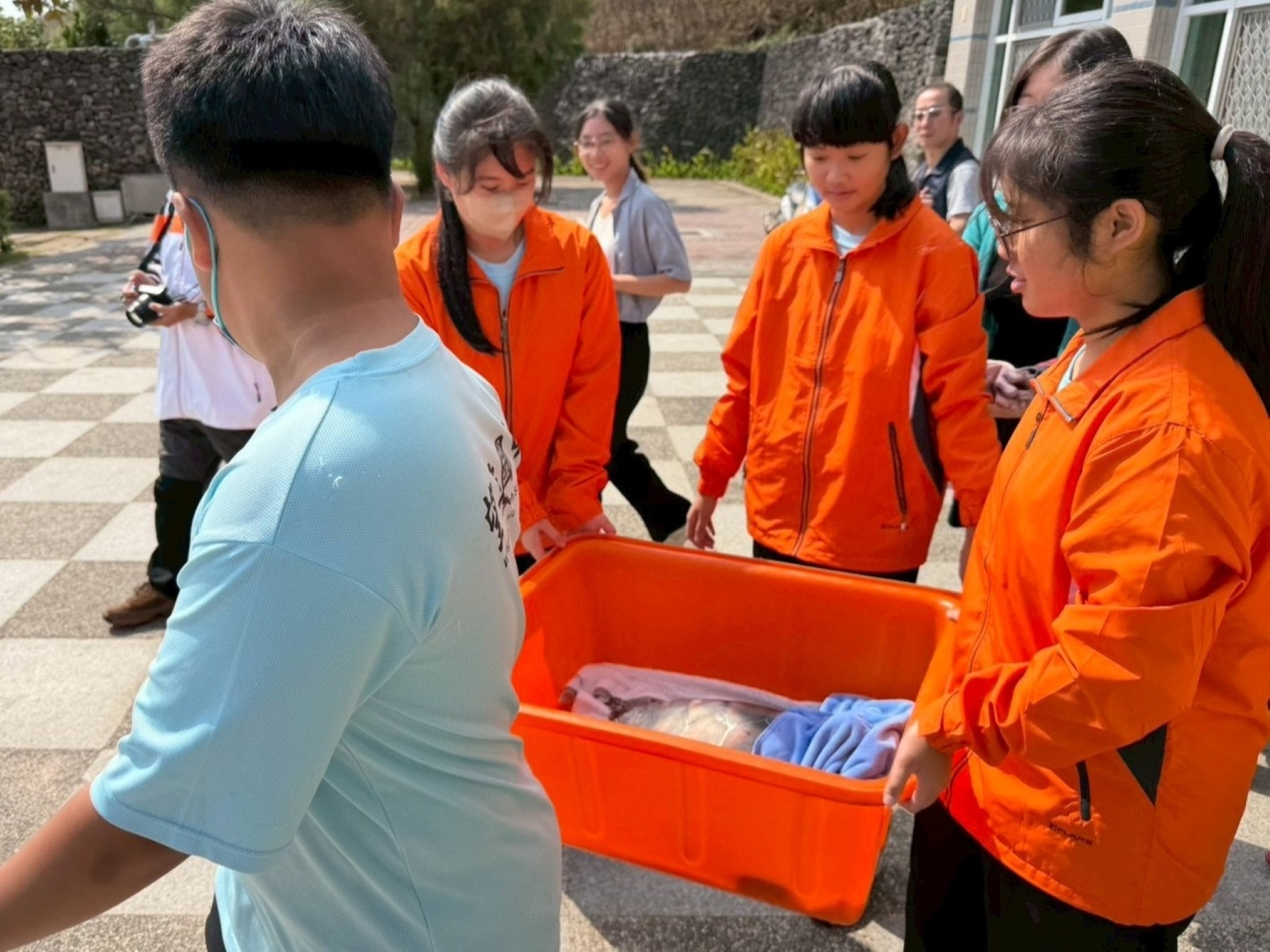 澎湖縣望安國中學生協助野放海龜。
