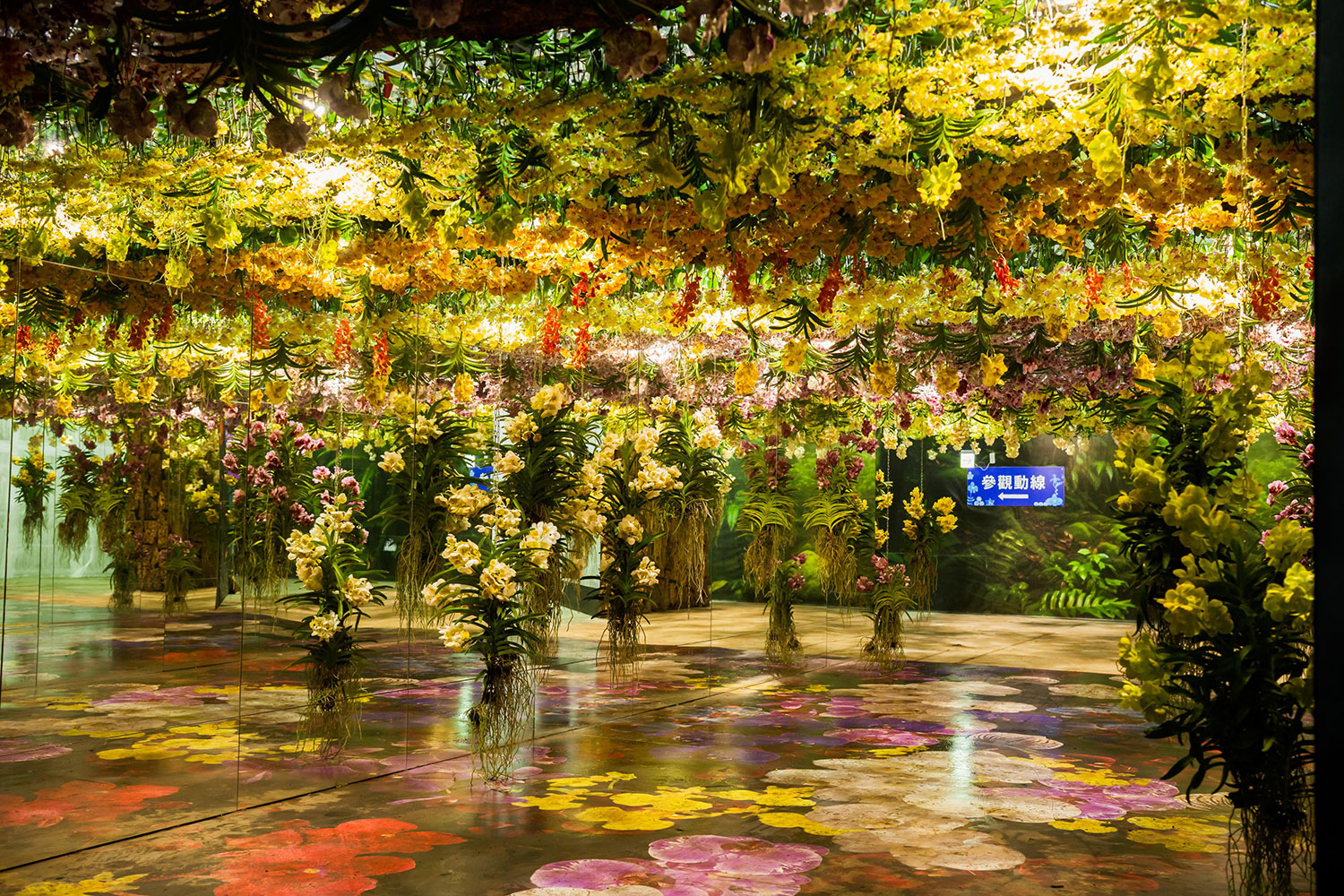 「綻放館」展現產業新世代的創意能量與設計潛力。