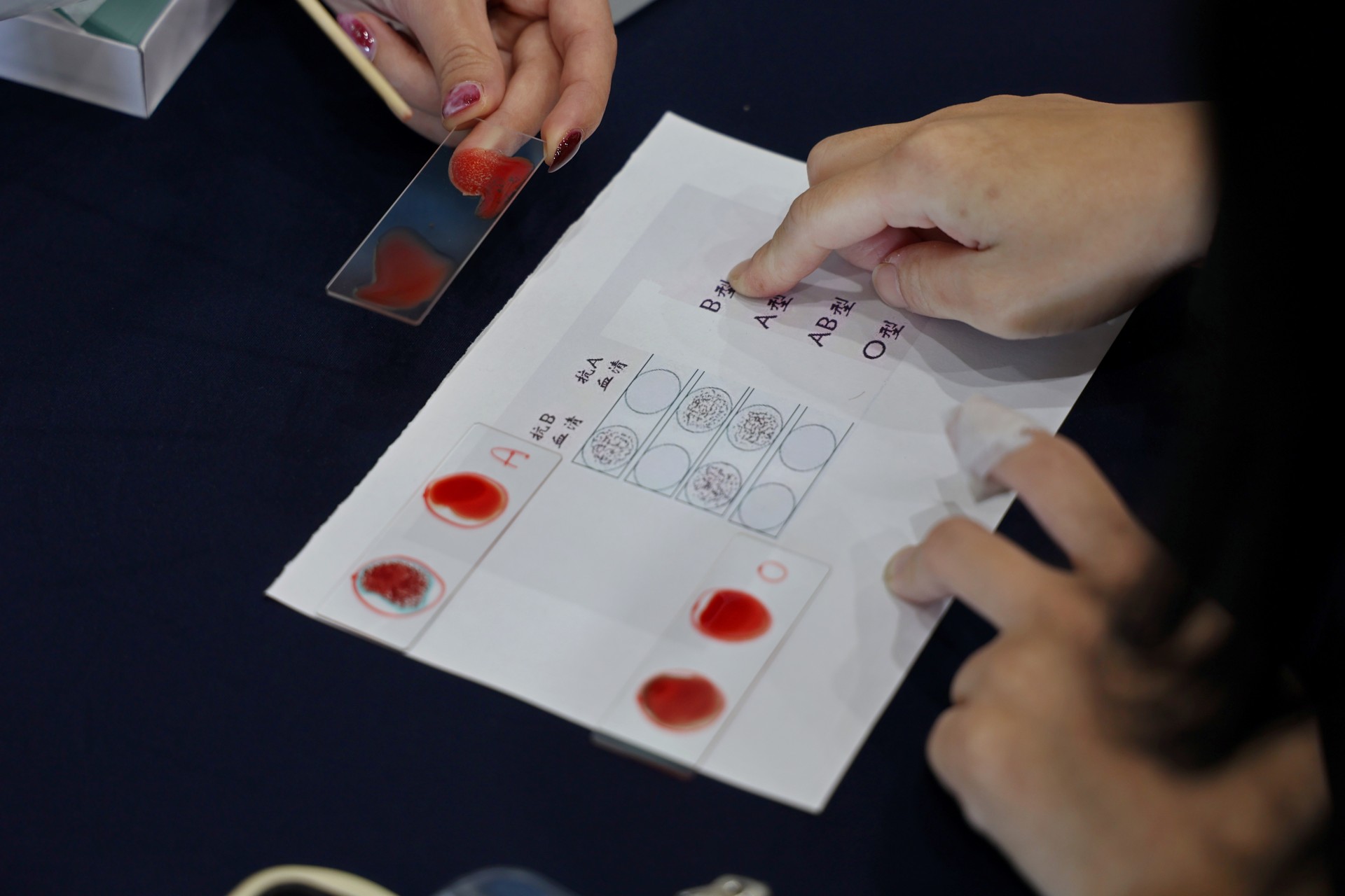 現場設置簡易血型檢驗體驗，讓民眾親手操作，進一步了解實際檢驗流程。
