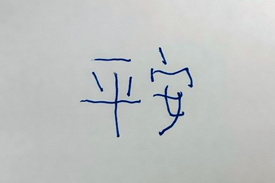 出院前盧副站長秀出這些日子的醫療成果，用左手寫下「平安」，簡單的兩個字，寫出了這36天來花蓮慈濟醫院醫療團隊的努力，家人的陪伴，全台網友的祝福以及她自己最深刻的體悟。