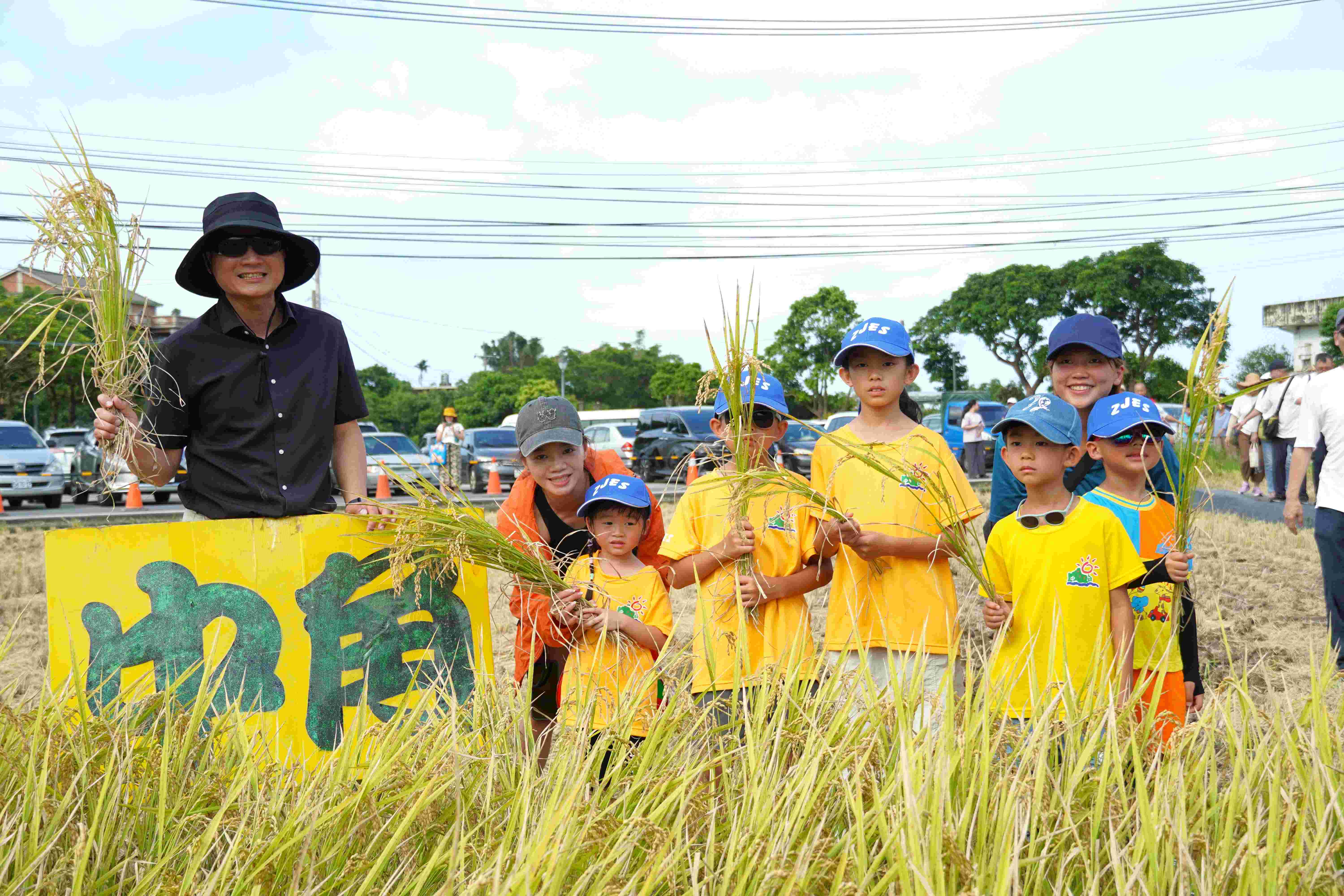 從田間到餐桌 新北推友善農業打造永續綠生活