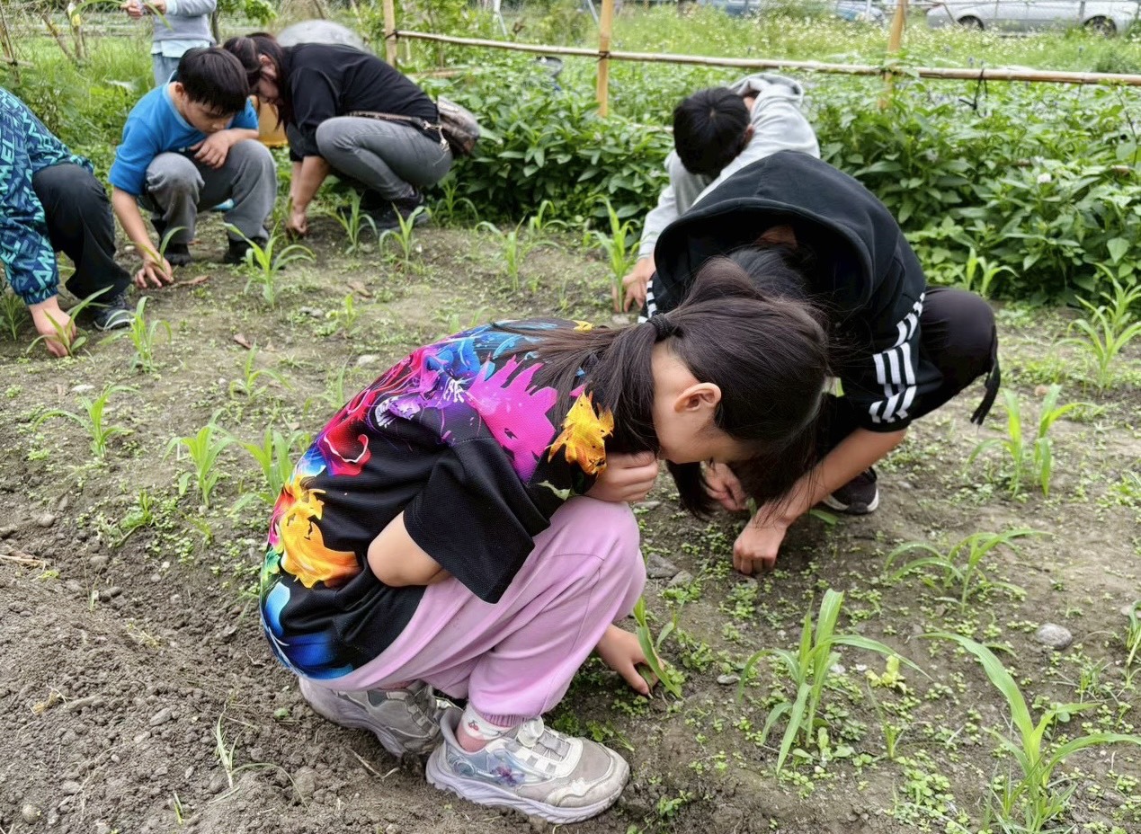花蓮家扶帶領親子體驗食農教育 共學中收穫成長與陪伴