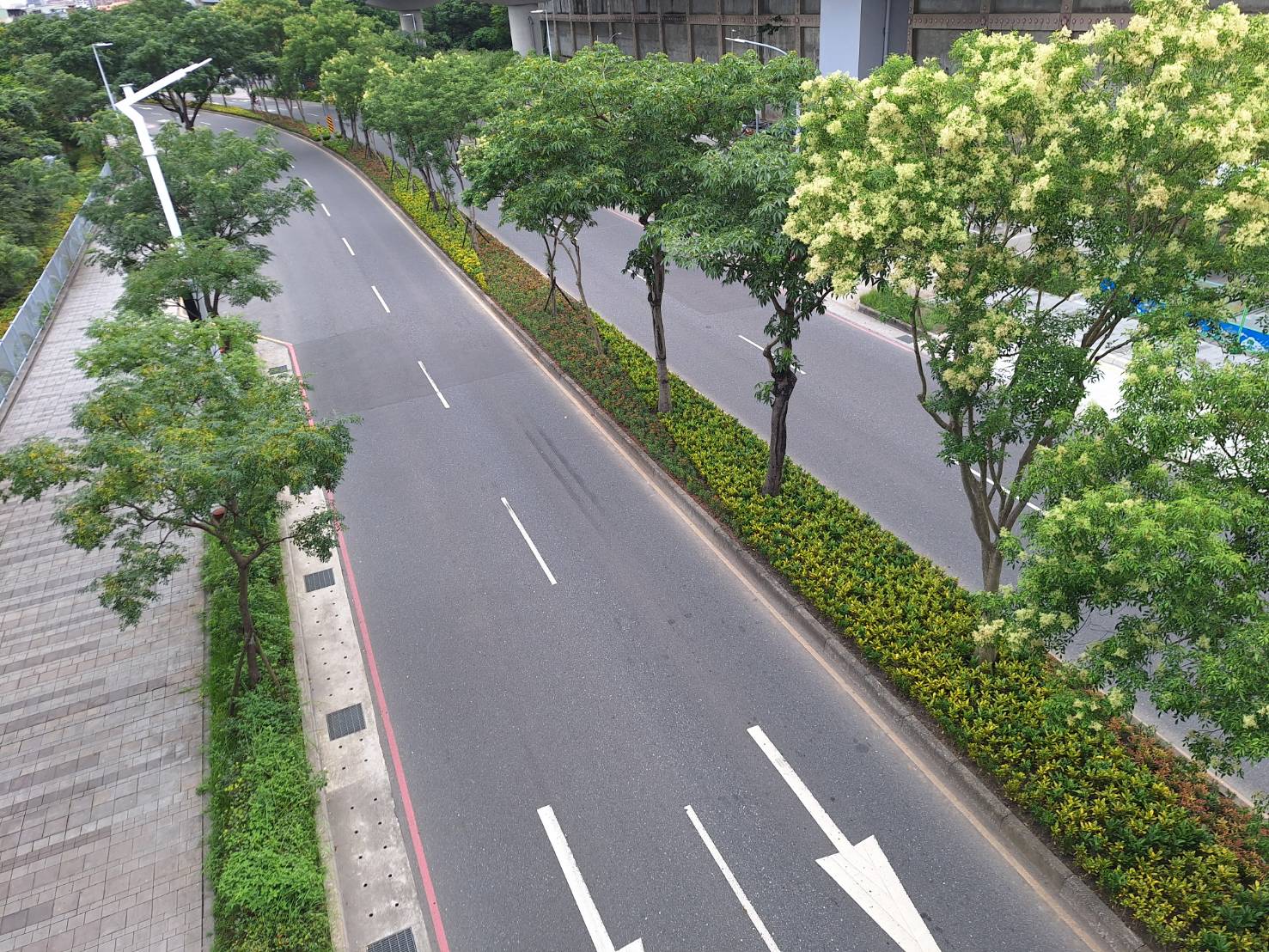 新北館前路景觀廊道啟用 串聯藝向新北活動