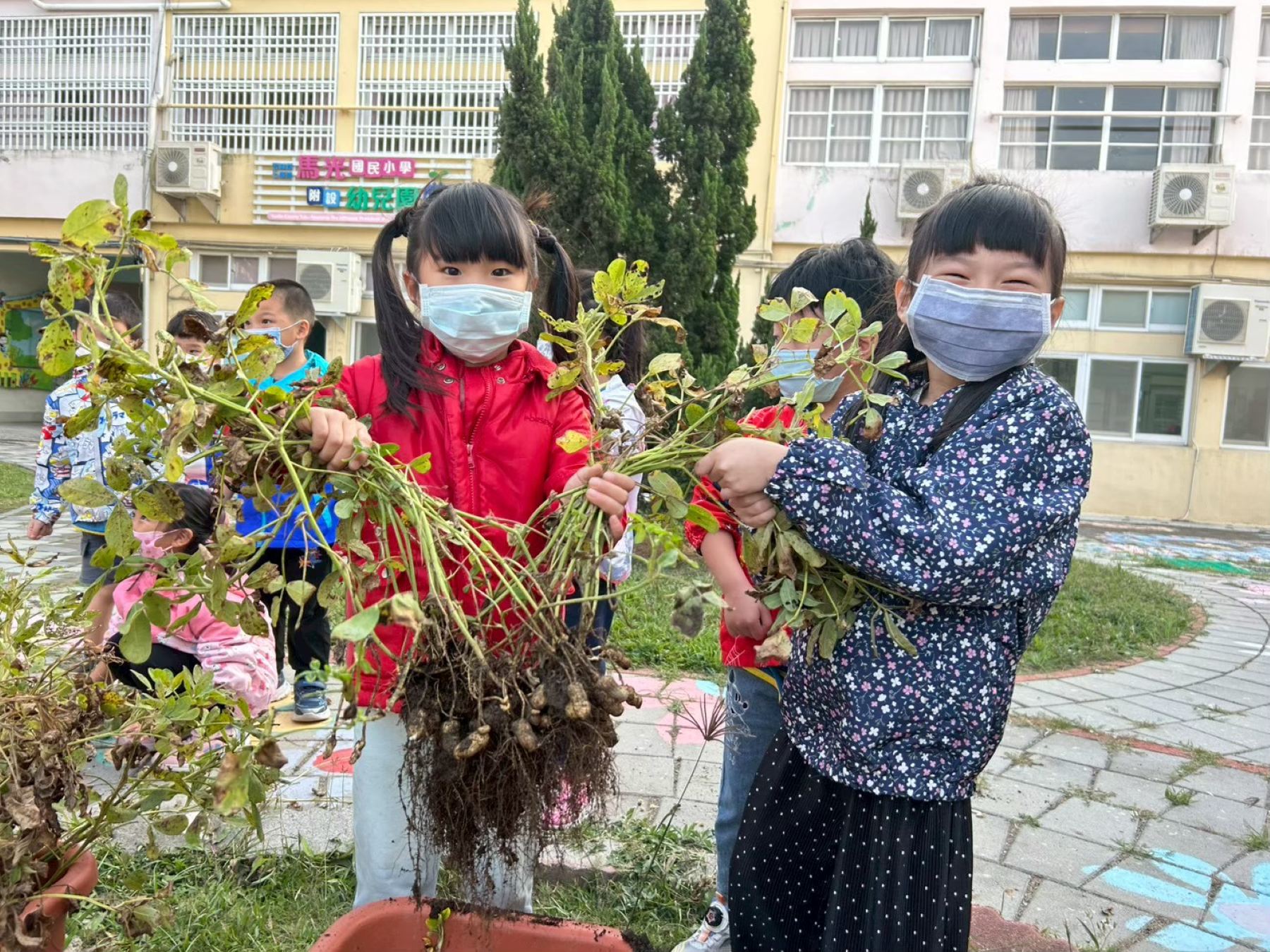 幼兒園參與專業發展輔導 發展特色園本課程