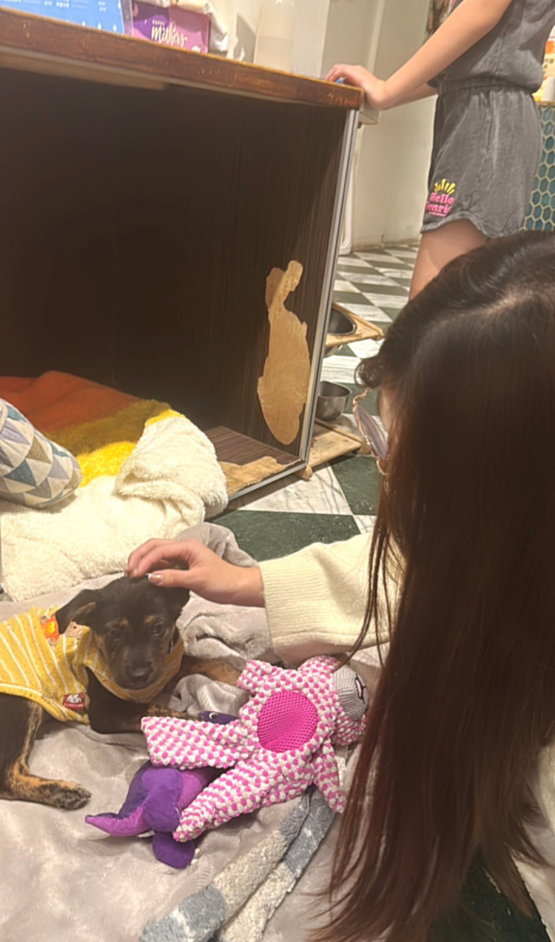 課業之餘，蓓拉偶爾會到浪浪咖啡廳放鬆心情，店內營收也投入流浪動物救援，成為她忙碌求學生活中難得的療癒時光。(台灣世界展望會提供）