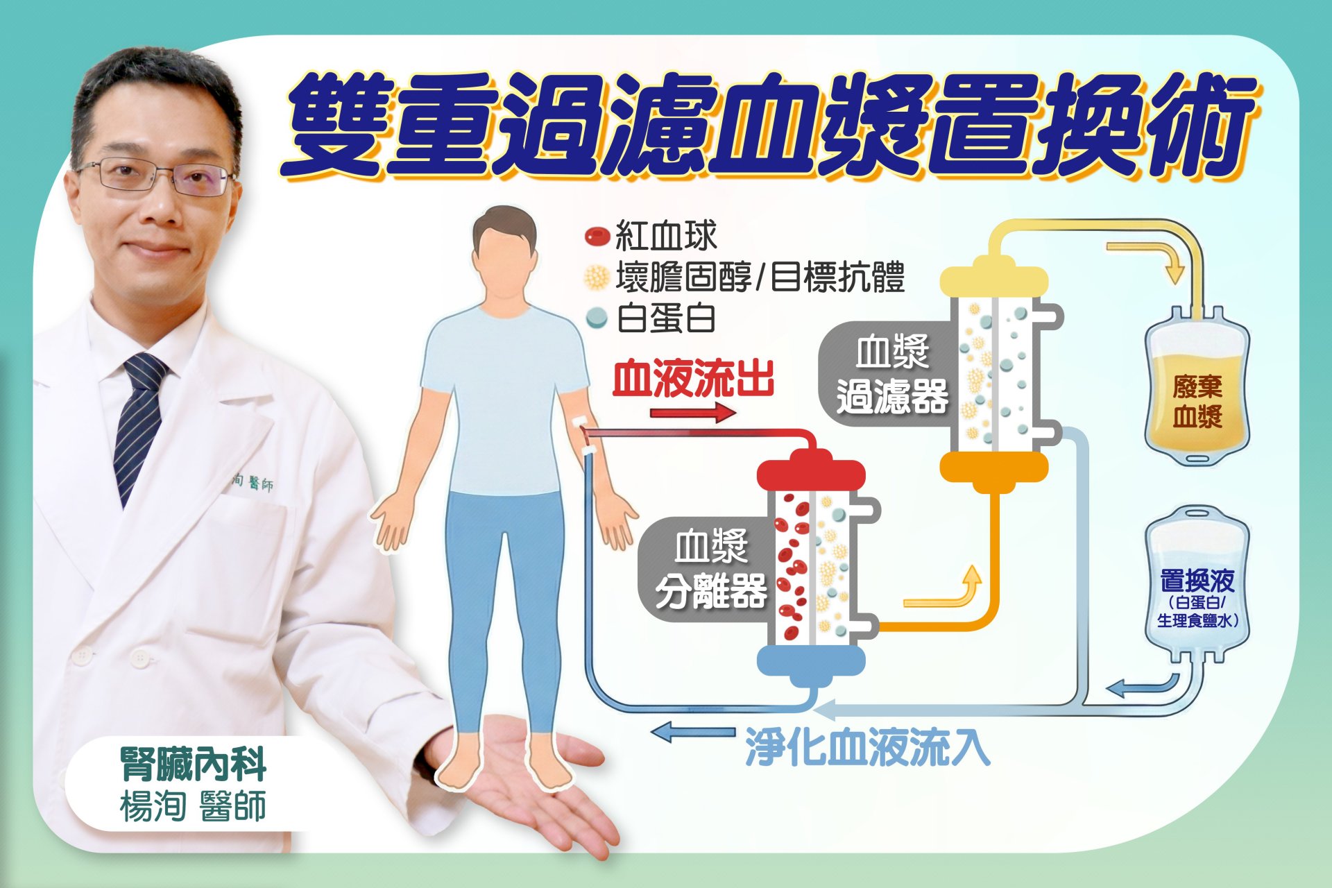 血漿置換術透過儀器分離病人血液，移除含有致病抗體的血漿，協助神經與肌肉訊號傳導恢復正常。