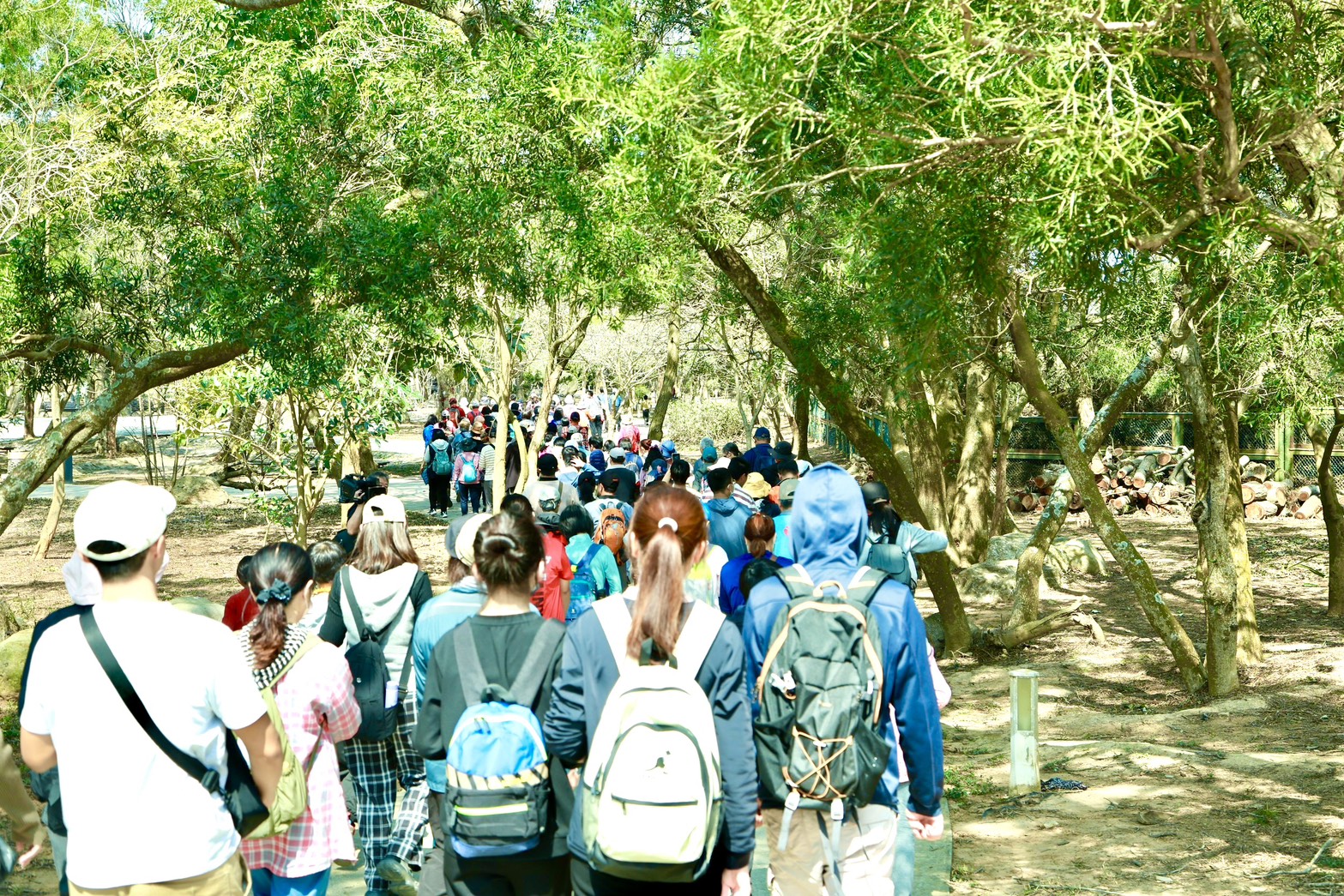 健走桂花泉登山步道。