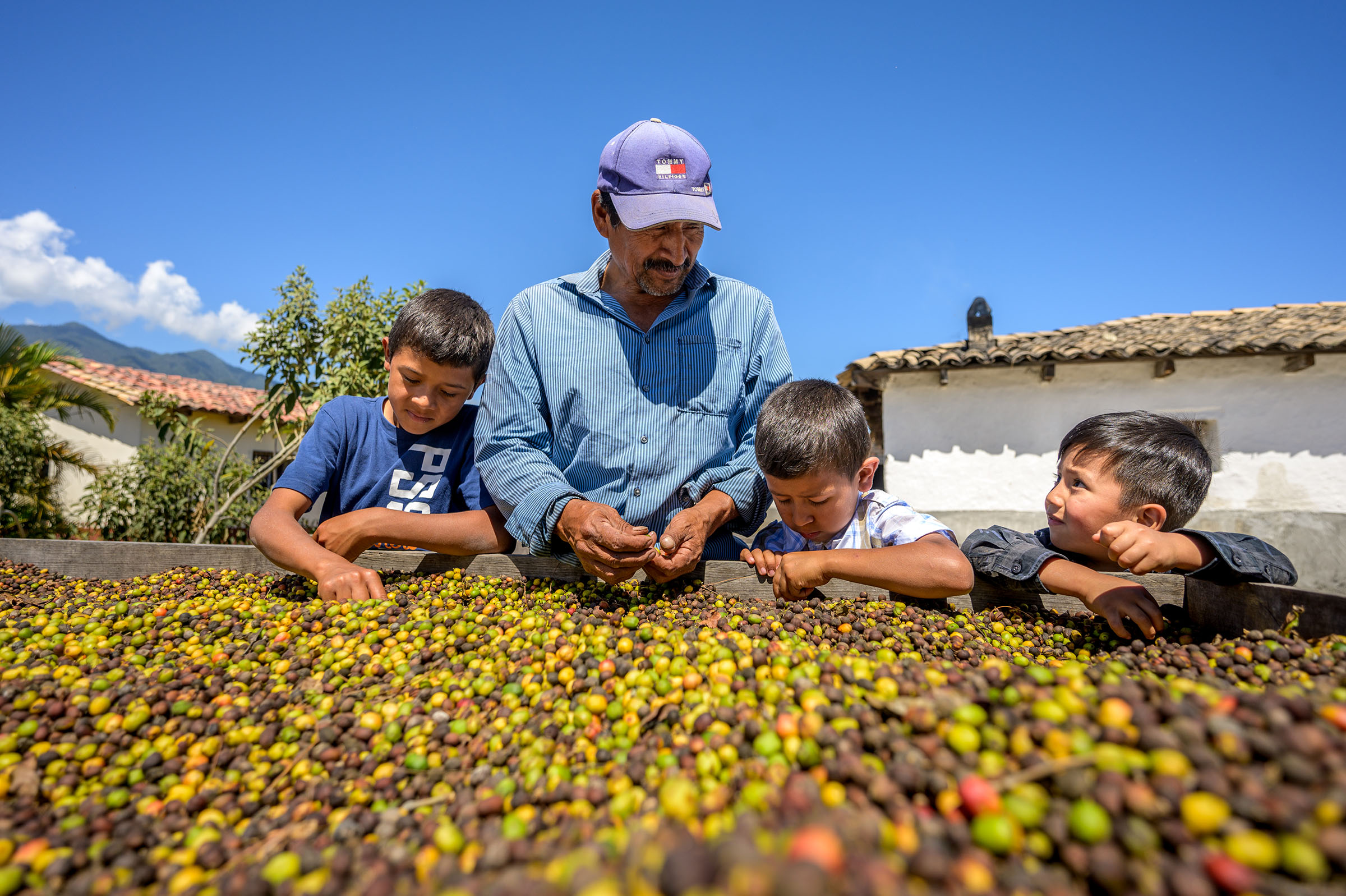 宏都拉斯農村地區約有三成孩童從事勞動工作，其中男孩擔任童工的比例顯著高於女孩。(台灣世界展望會提供)