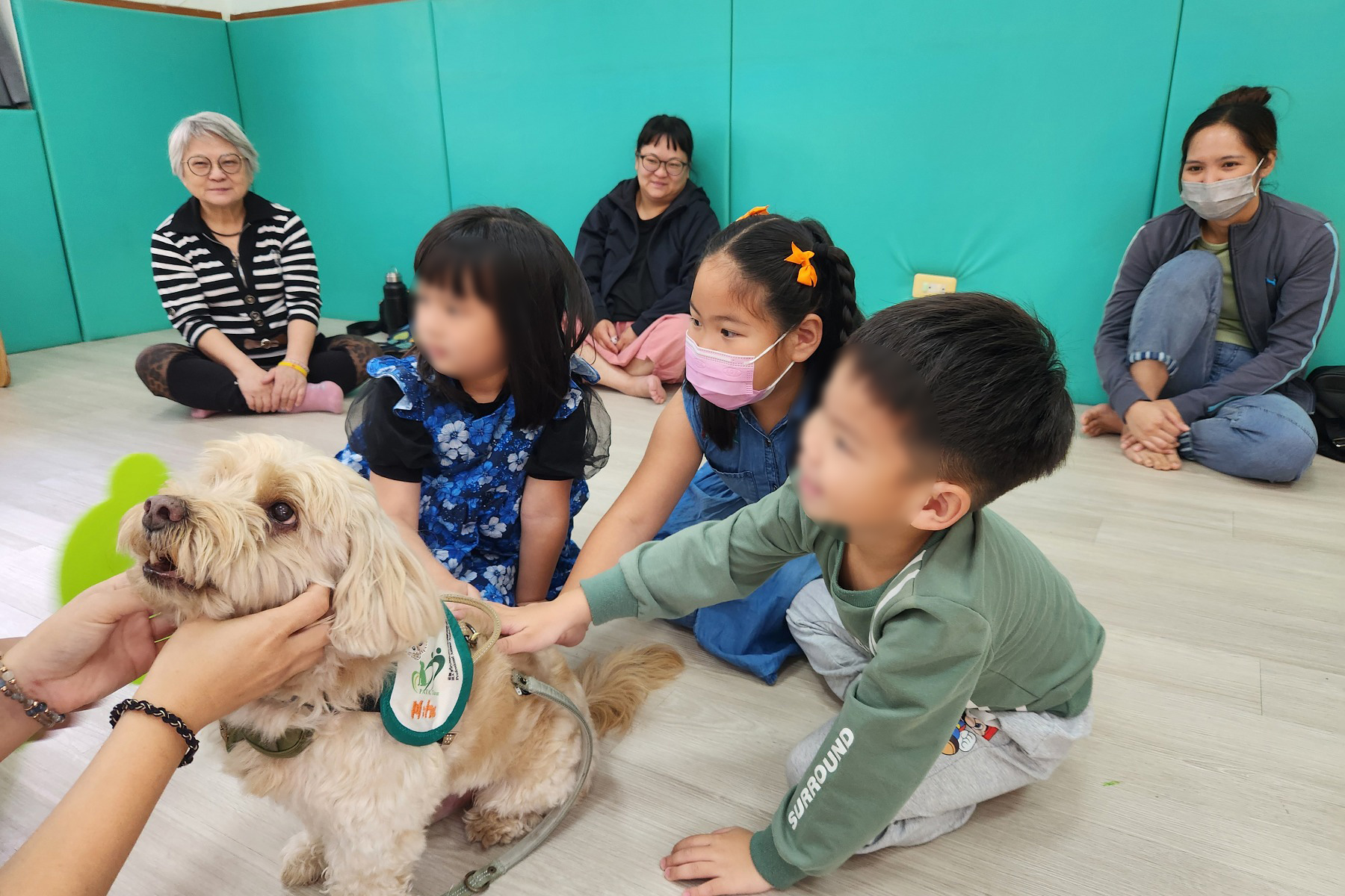 幼童配合指令與治療犬互動