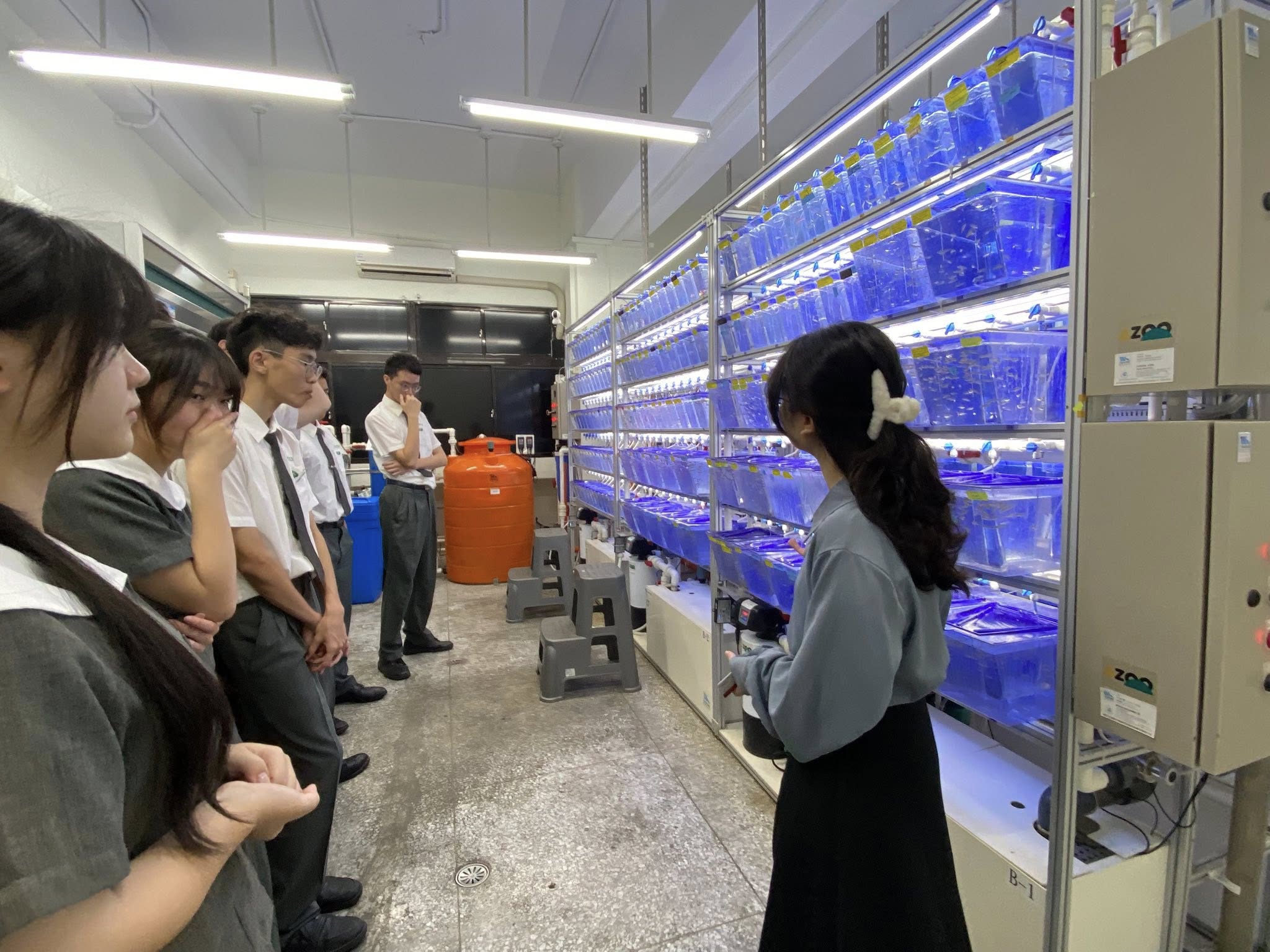 同學們來到慈濟大學著名的斑馬魚實驗室,參觀豐碩的實驗成果。