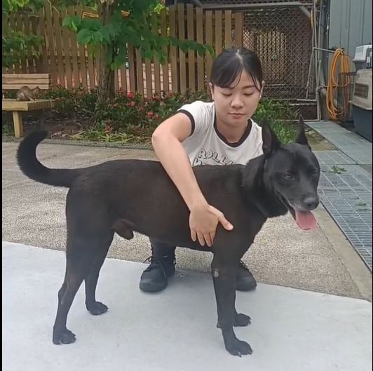 任你摸的「兜兜」,通過第一階段測試