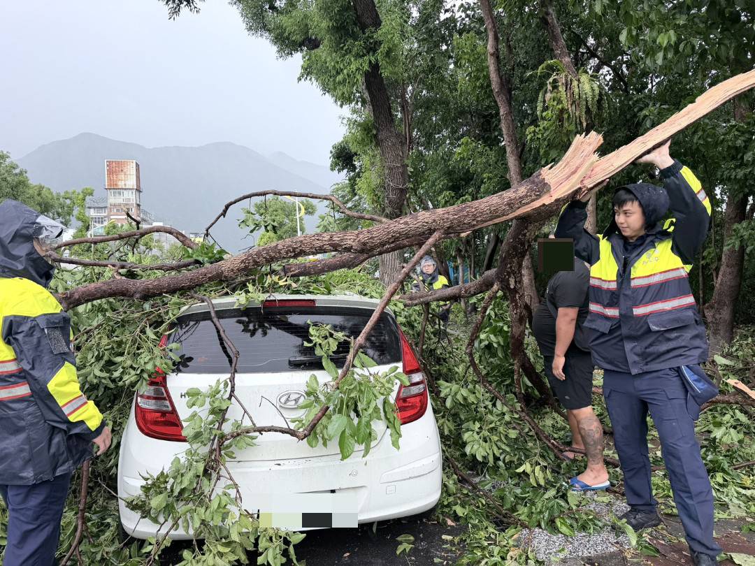 強颱來襲路樹倒塌壓車 花警與民攜手排除危害