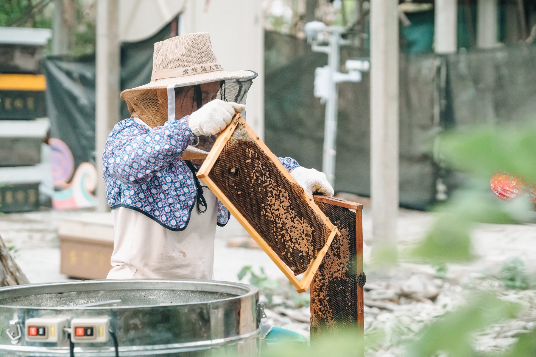 青年小聚「青聚點」40場跨界對話「聊」出新火花