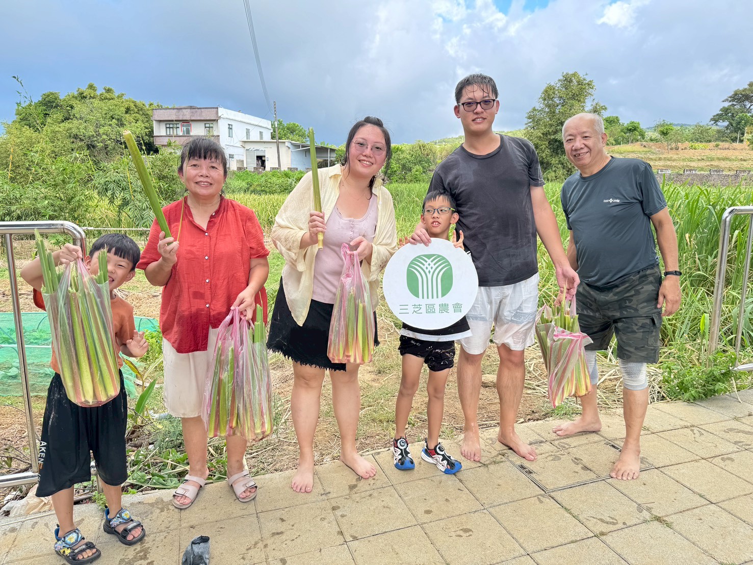 三芝區農會茭白筍小旅行10月登場 結合藝術與客家風味