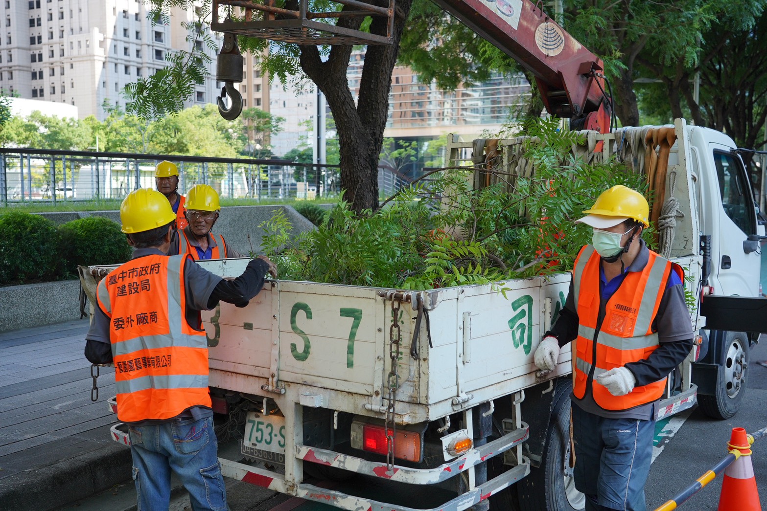 修剪後的枝條經過循環技術重新活化-再轉化為市民日常生活所需的產品